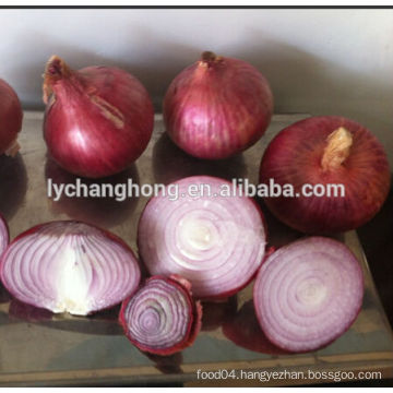 2014 fresh red onion with best price for sale